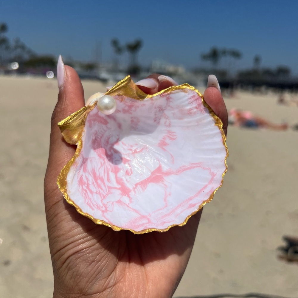 Seashell holder